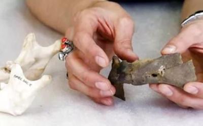 Estimated 7,000 bodies may be buried at former asylum