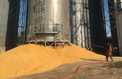 Crews called to fire at grain elevator in Greenview