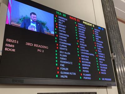 2024 IL Senate Budget Vote