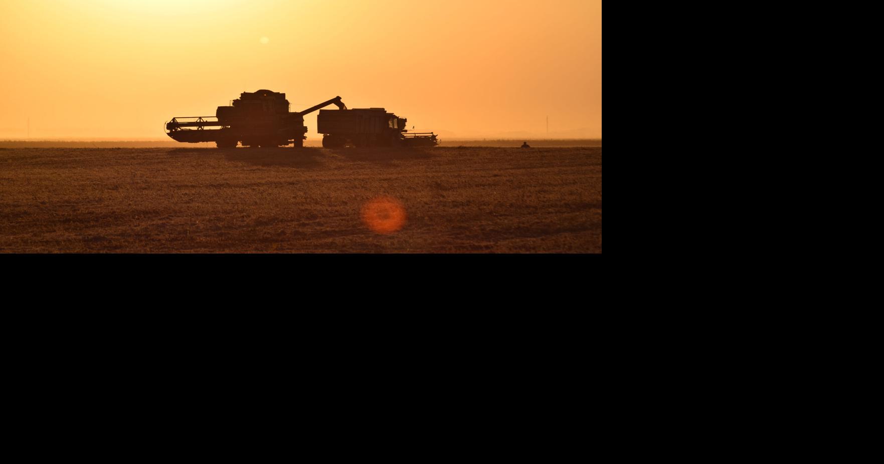 Illinois relaunches I-COVER program to support cover crops