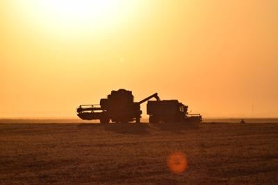 Farm, soybean harvesting