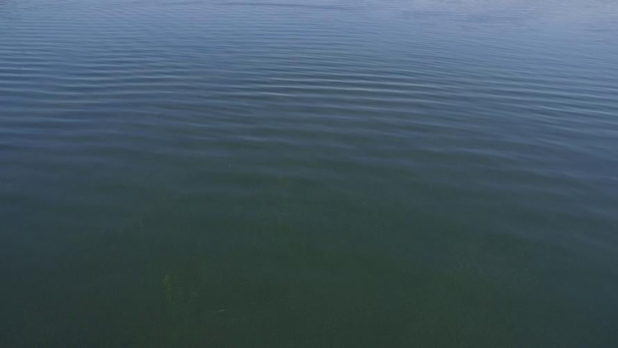 Lake water