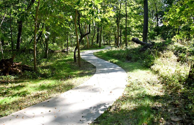 Wandering Woods walking path