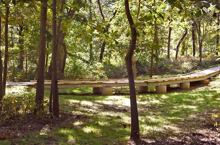 Wandering Woods walking path