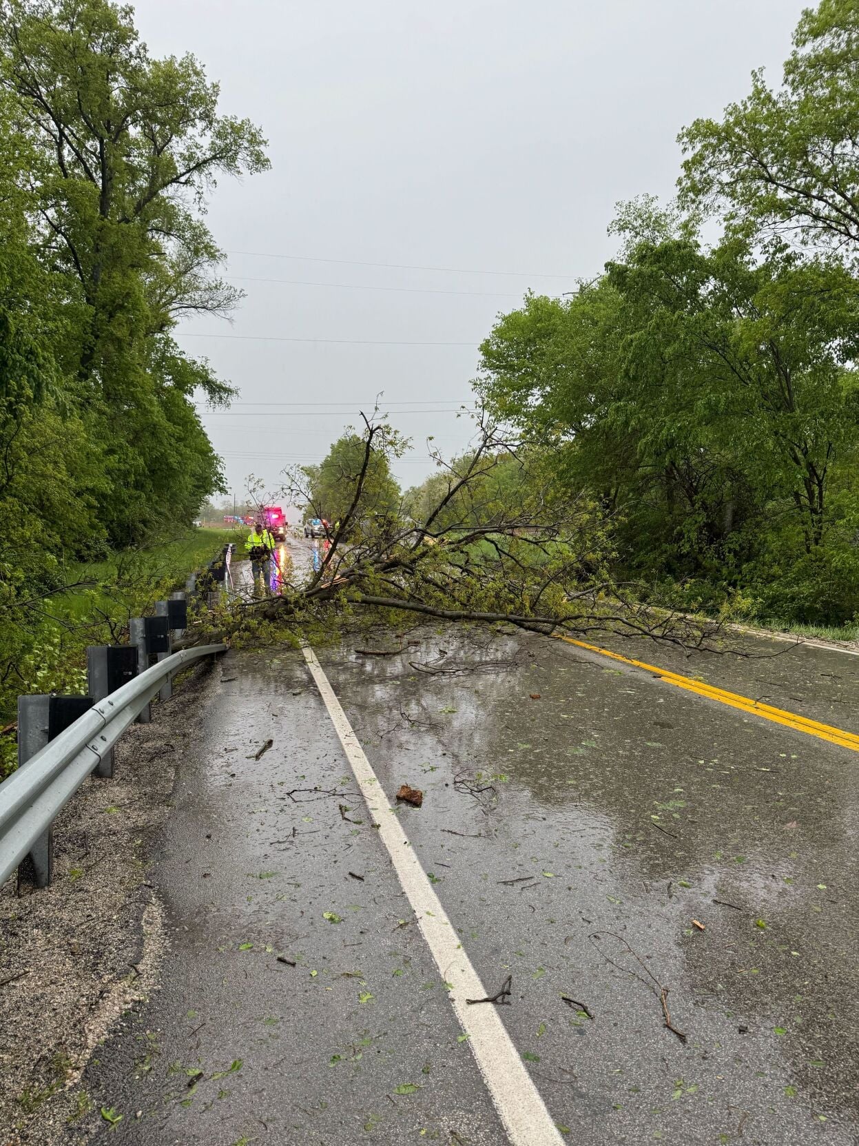 Trees down in Christian County