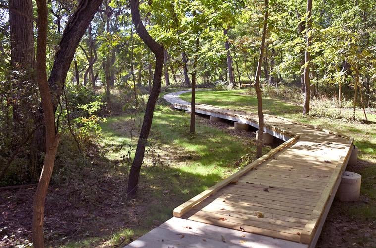 Wandering Woods walking path