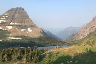Hiker Killed Bear