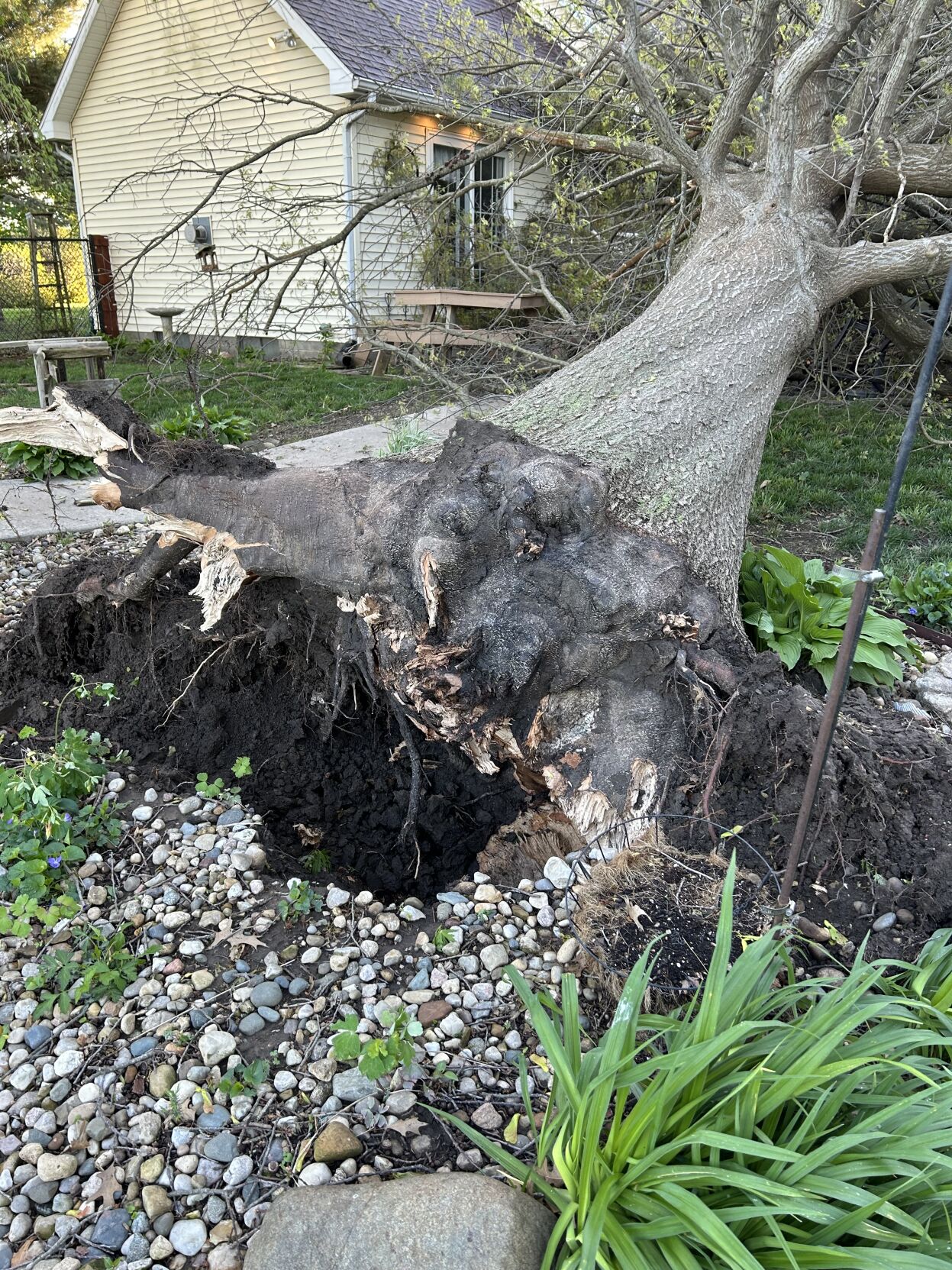 Storm damage in Warrensburg on 4/19/24
