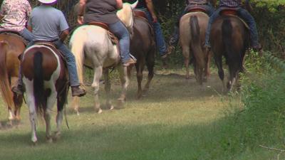Illinois State Stock Horse Association takes off for 100 Mile Trail Ride