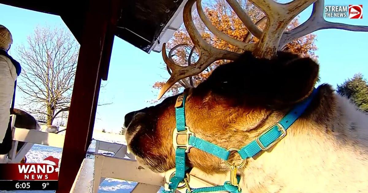 Hardy's Reindeer Ranch brings holiday magic to central Illinois