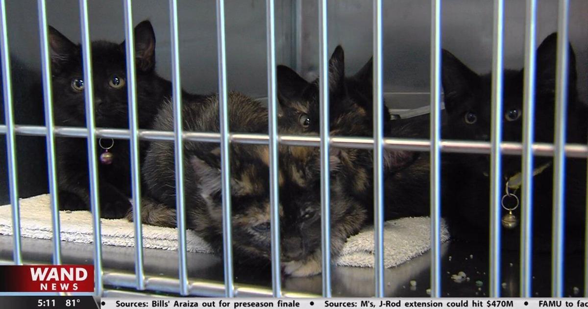 Macon County animal shelter needs more people | Community Macon County animal shelter needs more people | Community