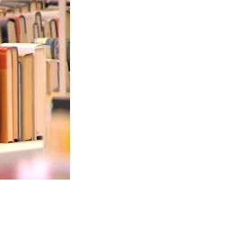 UC Books to Prisoners holds book sale, raising money to ship books to Illinois prisons | News