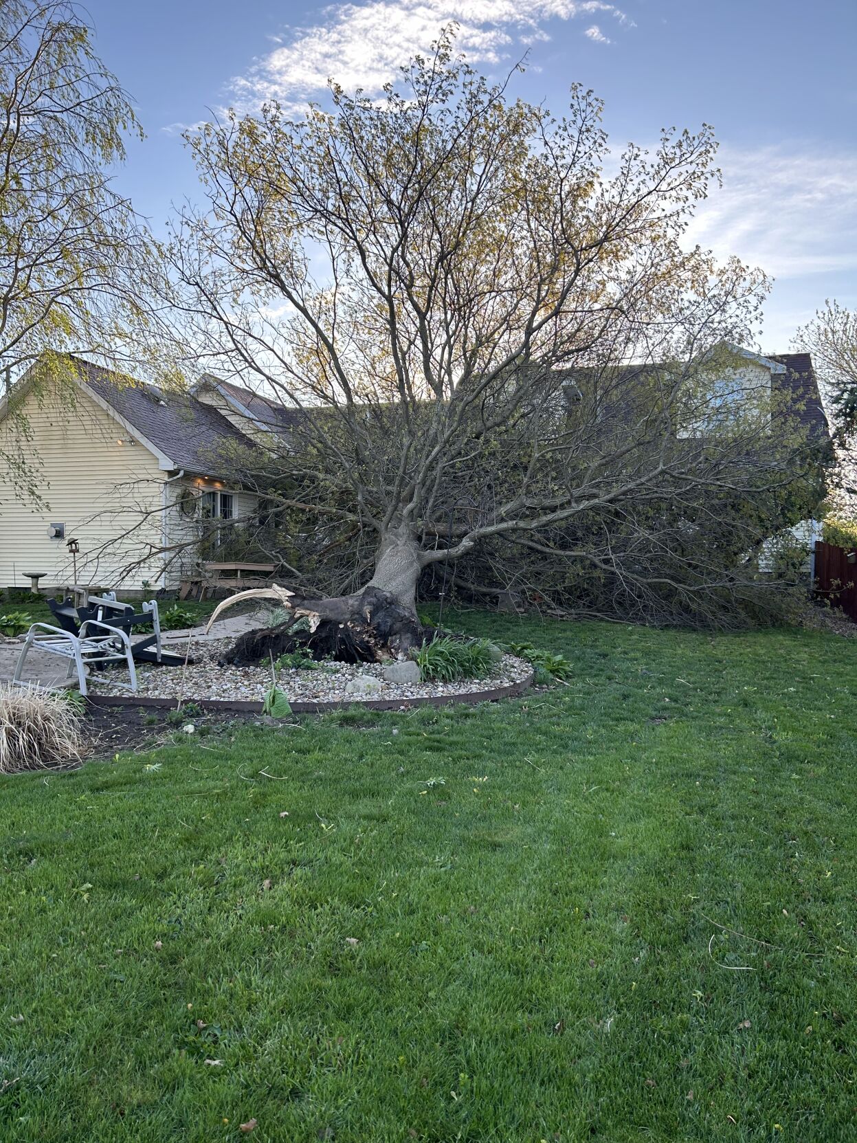 Storm damage in Warrensburg on 4/19/24