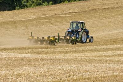 Farm, seeding field