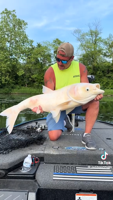 Lincoln man catches massive albino bighead carp