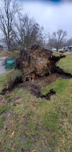 March 3 Storm Damage