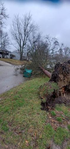 March 3 Storm Damage