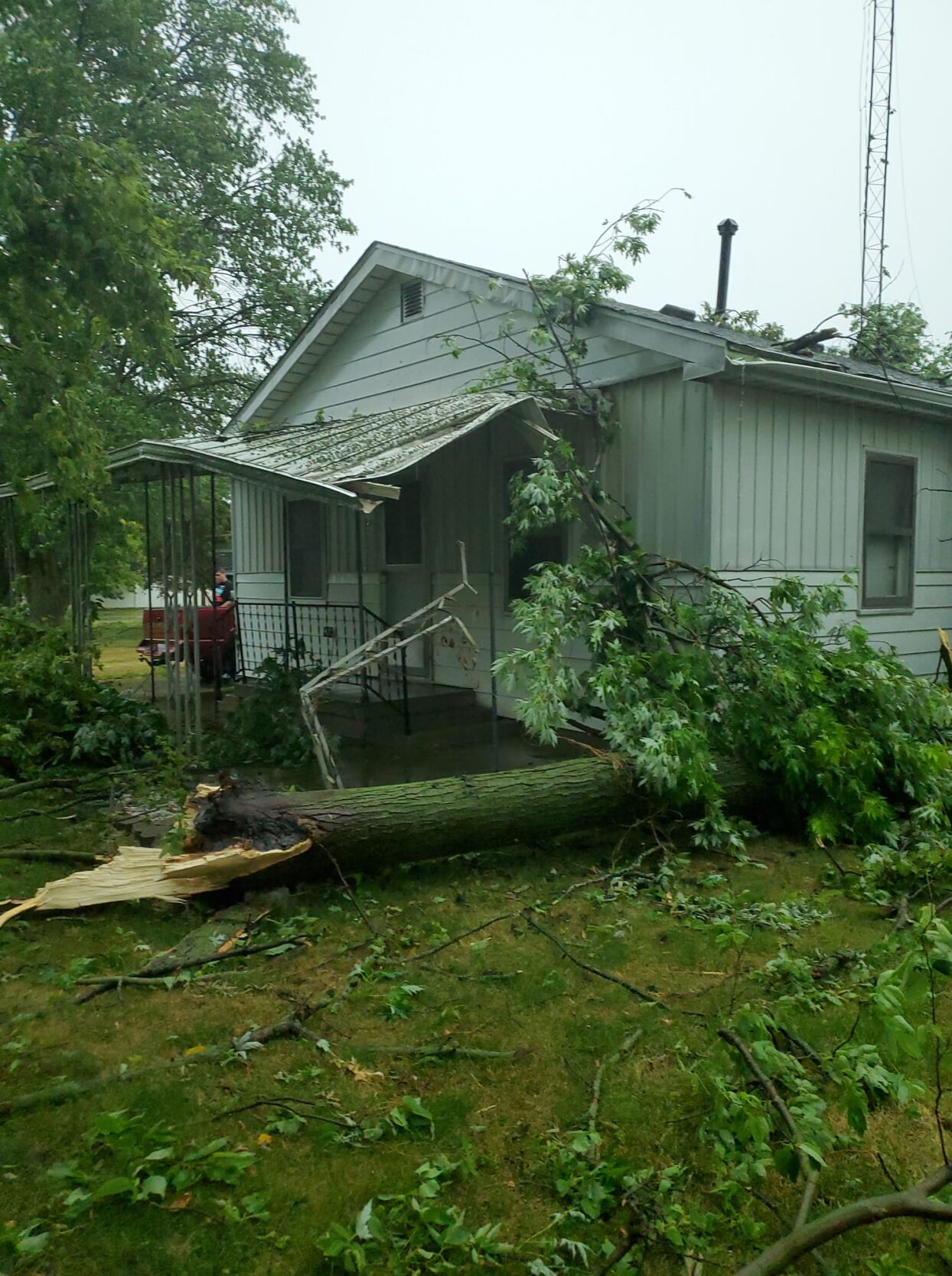 Severe Weather- Staci Martino- Price