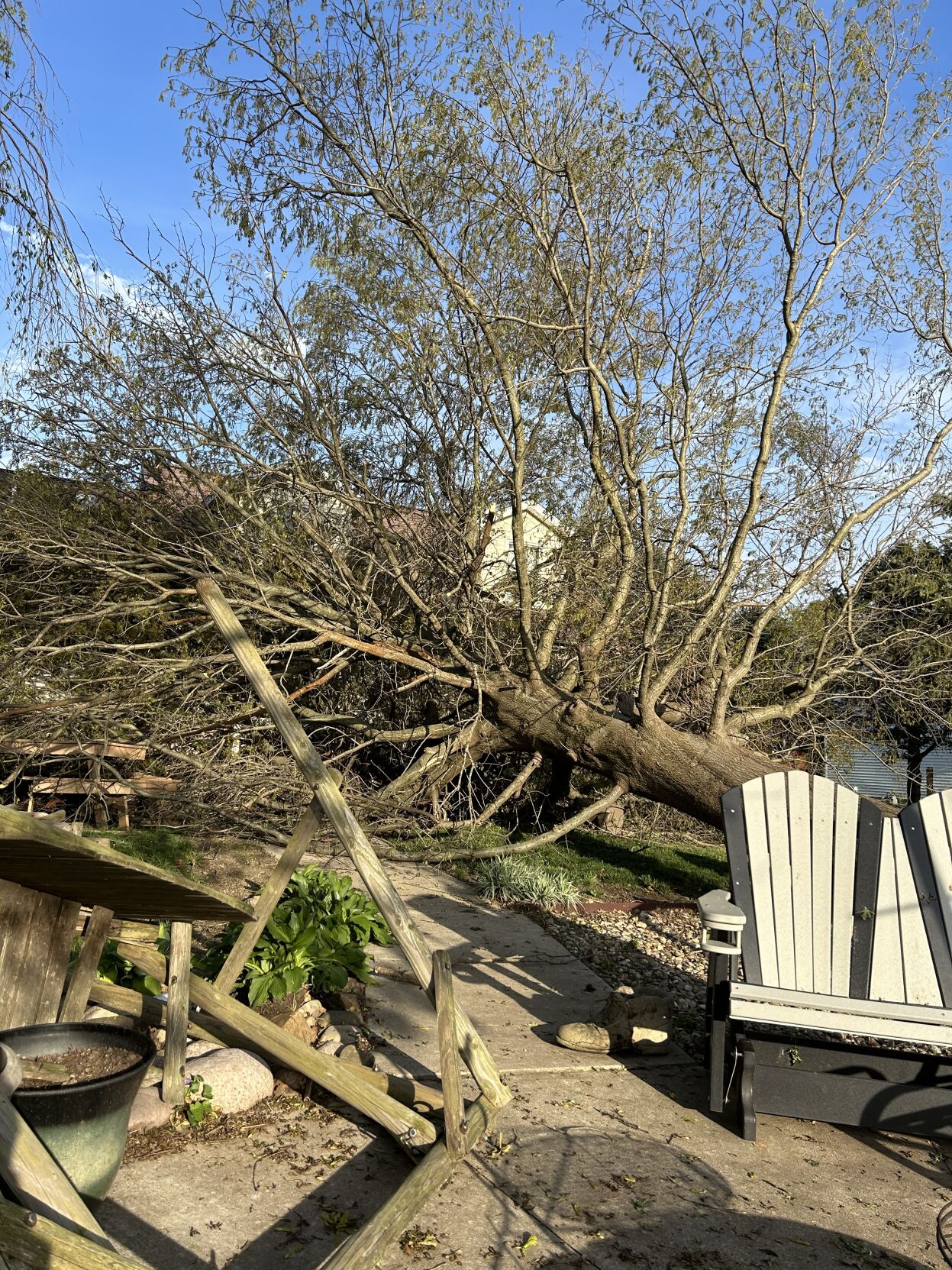 Storm damage in Warrensburg on 4/19/24