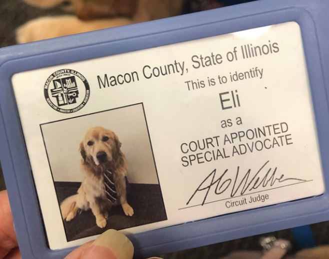 Comfort Dog Sworn In As Court Appointed Special Advocate Top