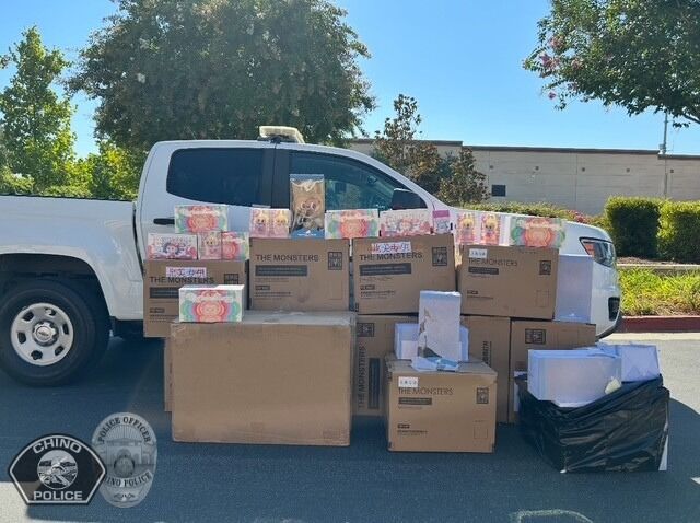 Stolen Labubu dolls recovered by California police