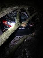 PHOTOS: March 14 Storm Damage in central Illinois