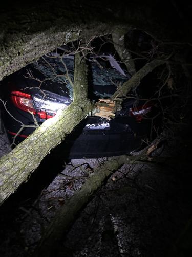 March 14 Storm Damage