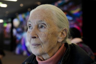 Jane Goodall