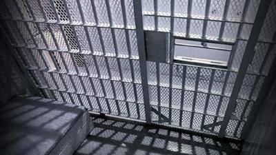Federal lawsuit claims Vermilion Co. officers beat an inmate