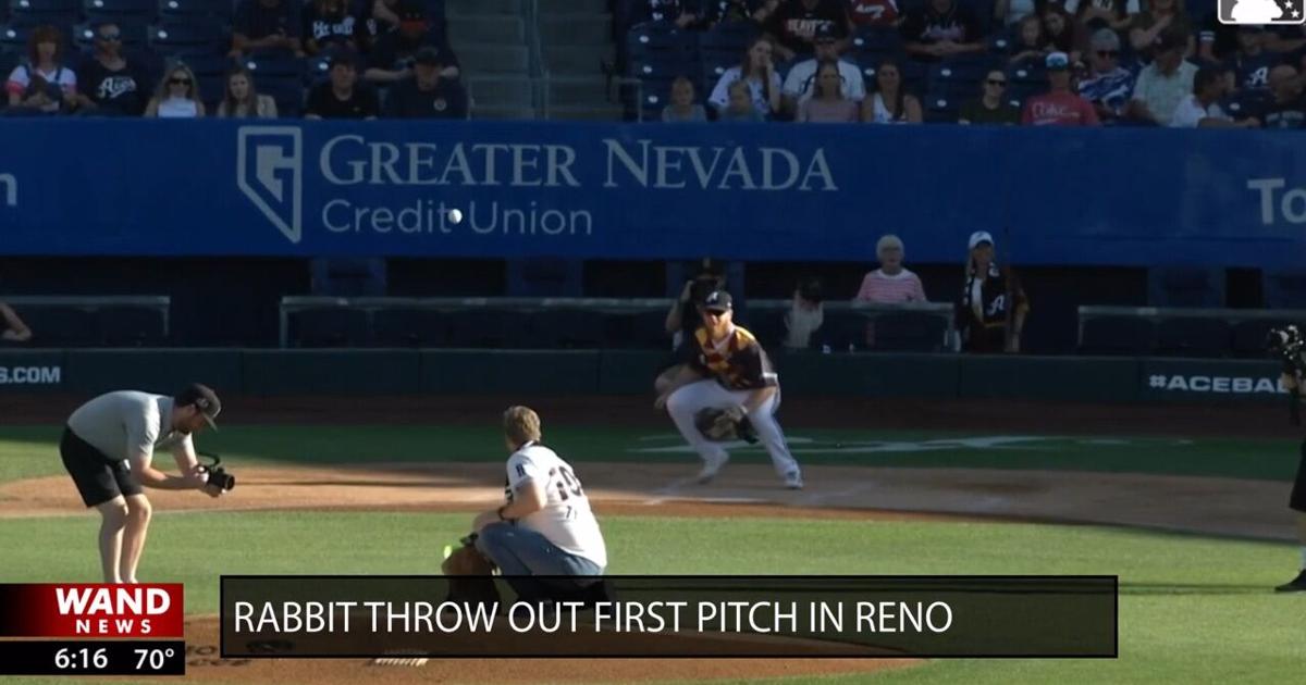 Rabbit throws out first pitch in Reno | | wandtv.com