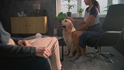 Dog sitting during therapy session