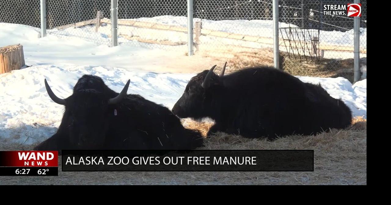 Alaska zoo gives out stinky prize, free manure