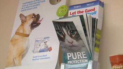 How to keep pets save in severe heat