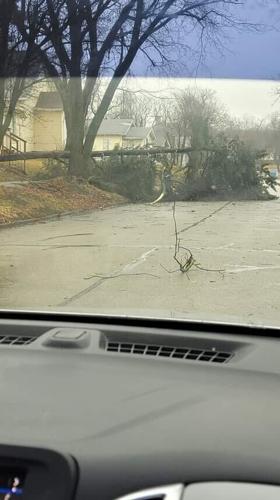 Storm Damage March 3