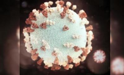 Possible mumps outbreak discovered on college campus