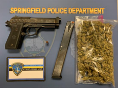 spd firearm arrest