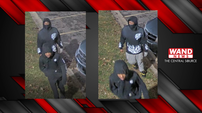 Danville motor vehicle theft suspects