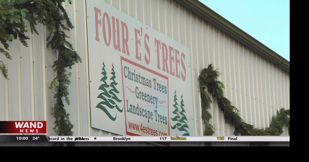 Business thrives on a local Christmas tree farm |  Main stories