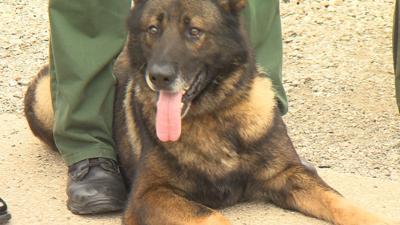Governor Rauner Signs Police Dog Retirement Bill