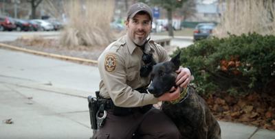 U of I veterinarians helping treat police dogs impacted by opioid epidemic