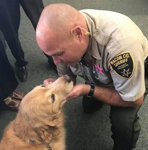 K9 Eli 5