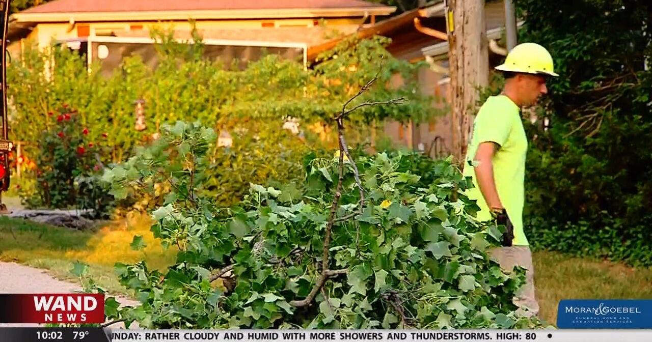 Tree removal services working 24-7 to clean up storm debris - Vimarsana News