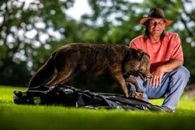 Illinois man's video sparks testing of potential wolves