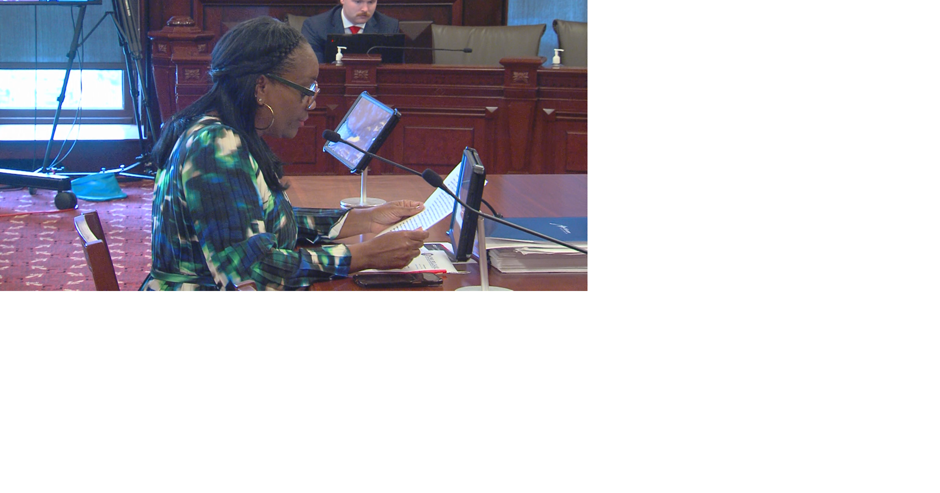 Illinois Senate committee holds intense hearing on potential higher education evidence-based funding model | Illinois Politics