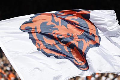 Bears Stadium Football