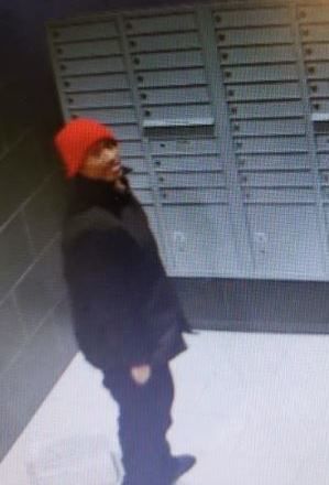 Champaign University Group apartment theft