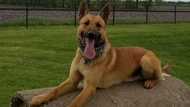 K-9 Maco