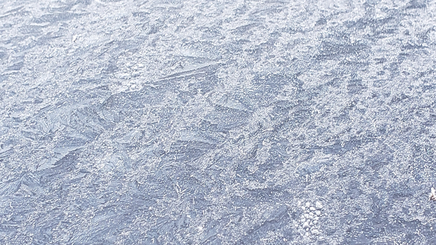 FROST.png