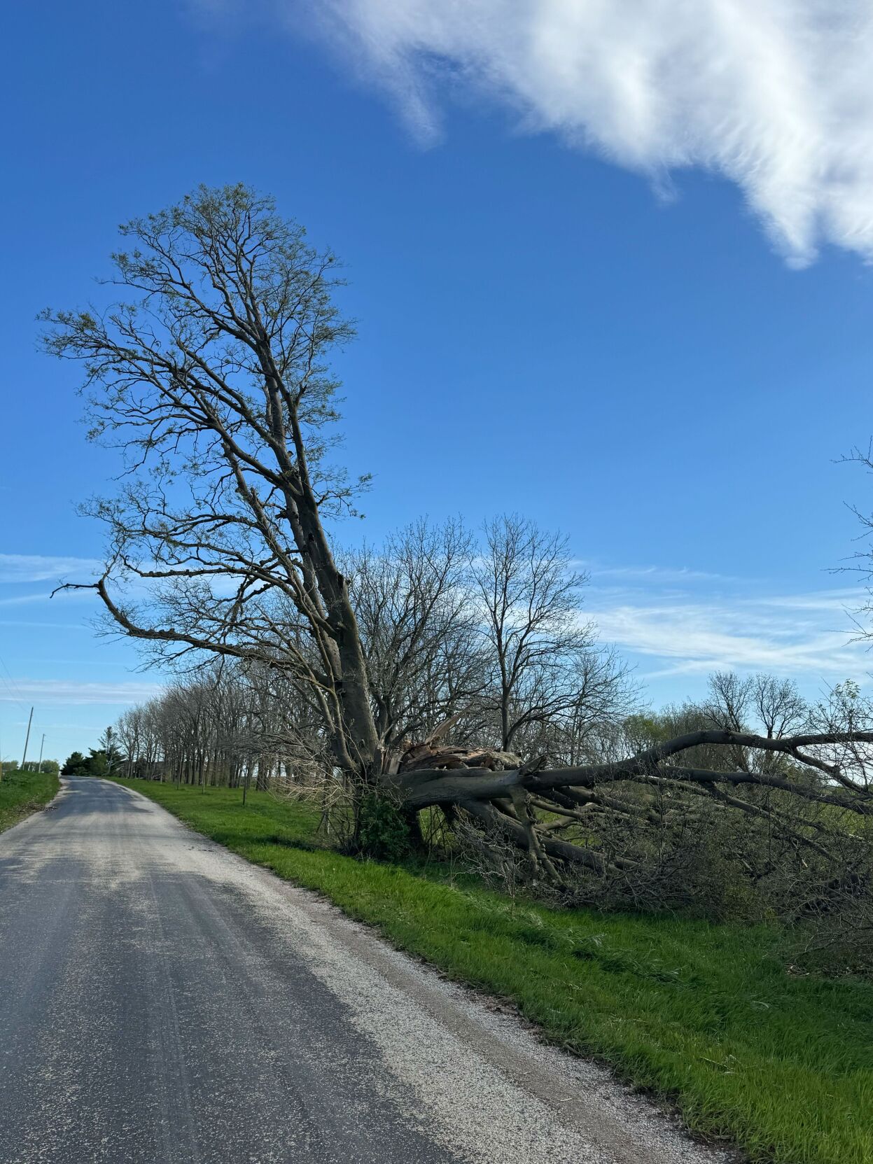 Storm damage in Latham on 4/19/24