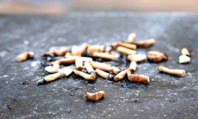 Champaign Center Partnership to discuss making public grounds smoke free